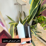 همزن فومر باتری خور